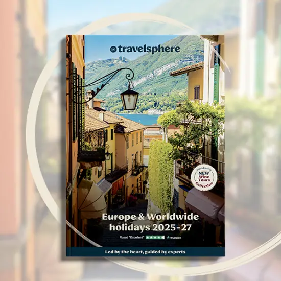 TS Dec Brochure Launch 2025 -Website block 800x50.jpg