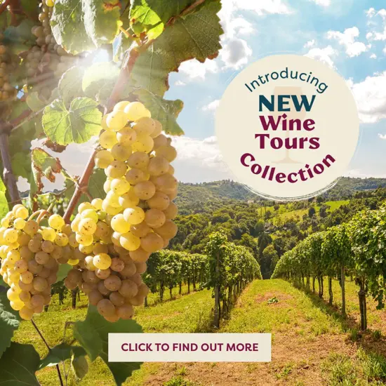 Wine Tours Homepage Pod (1).jpg